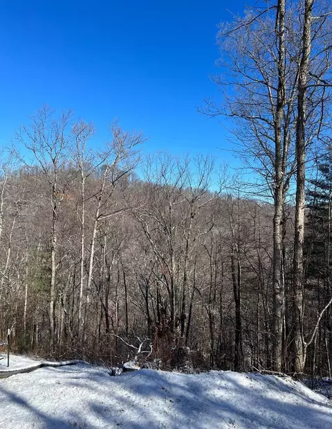Rubicon Ridge Drive, Sevierville, TN 37862