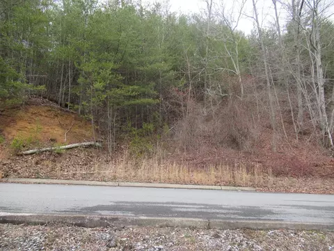 Lot 156 Bear Valley Rd., Sevierville, TN 37862