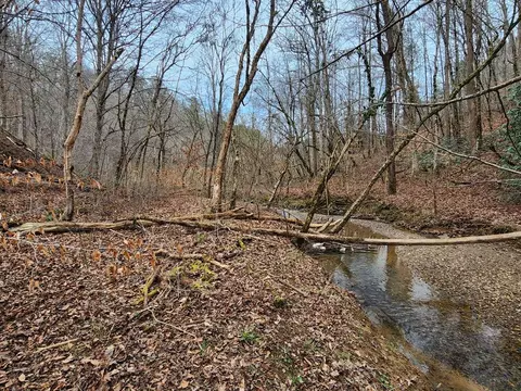 Middle Creek Road, Cosby, TN 37722