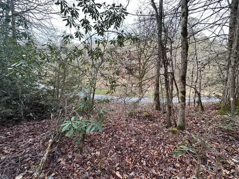 Little Bear Trail Way, Cosby, TN 37722