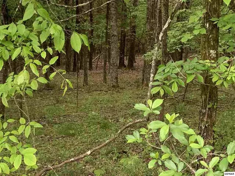 Lot 1058 Mountain View Lane, Baneberry, TN 37890