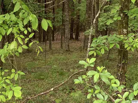 lot1058 Mountain View Ln, Baneberry, TN 37890