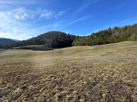 Old 15th Road, Del Rio, TN 37727