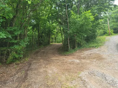 1460 Neddy Mountain Rd, Del Rio, TN 37727