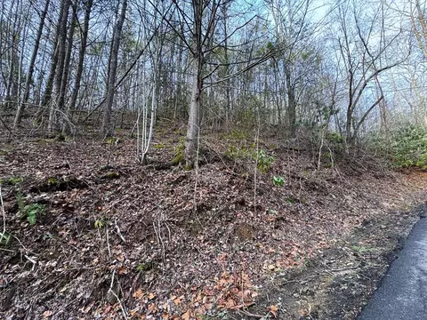 lot10 Black Gum Rd, Gatlinburg, TN 37738