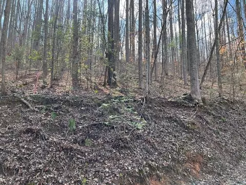 Lot 3 Grey Fox Run, Sevierville, TN 37862