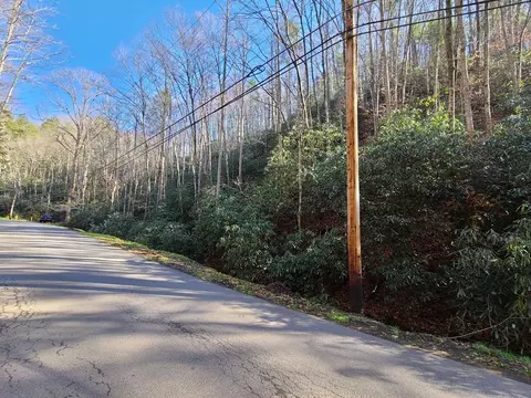 lot17 Butler Branch Rd, Gatlinburg, TN 37738