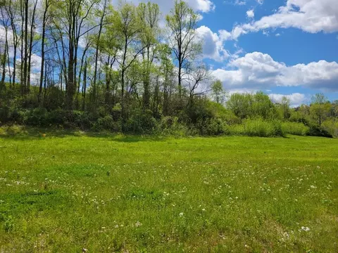 Lot 2 Majestic View, Cosby, TN 37722