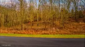 lot230 New Hope Rd, Sneedville, TN 37854