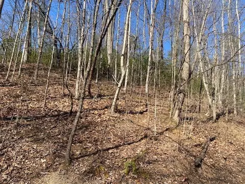 lot1765 R Red Bud Rd, Sevierville, TN 37876