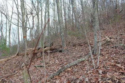 Parcel 119.01 Dupont Springs Road, Sevierville, TN 37876