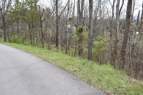2450 Fawn View Dr, Sevierville, TN 37876