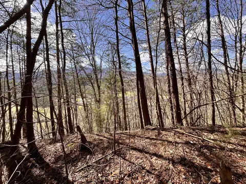 2 Lots Castle Road Rd, Gatlinburg, TN 37738