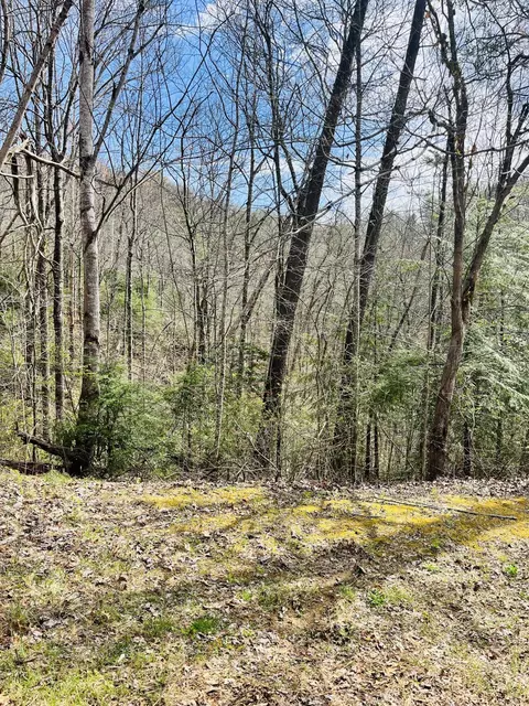 lot3 Sassafras Trl, Sevierville, TN 37876