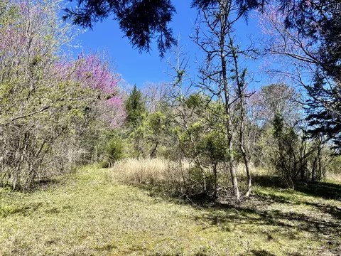 lot19 Caughron Mtn Rd, Sevierville, TN 37876