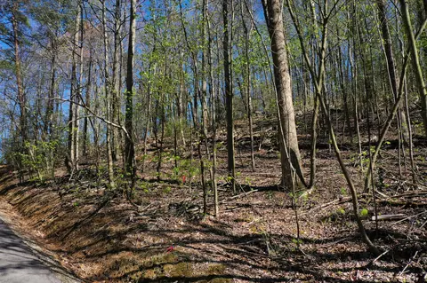 lot804 Rhododendron Ln, Sevierville, TN 37876