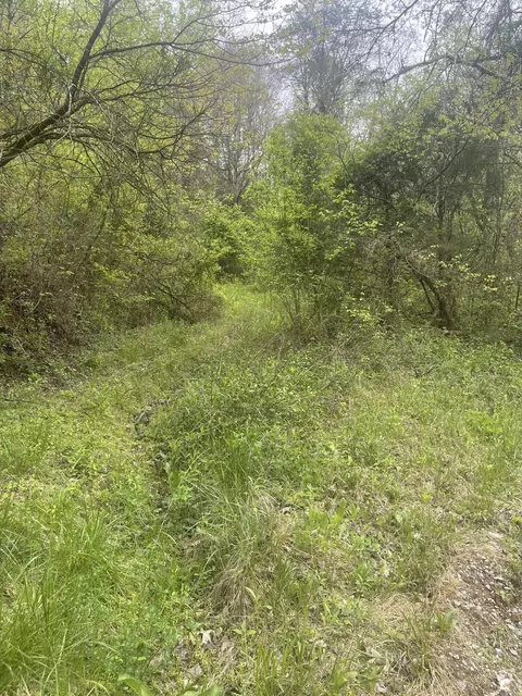 lot6 Talley Rd, Parrottsville, TN 37843