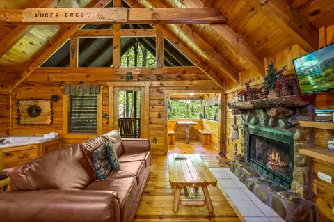 4203 Alpine Rdg Way, Sevierville, TN 37876