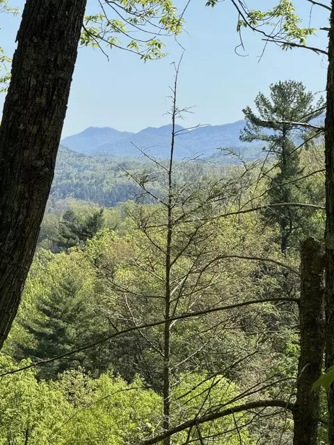 482 Pearl Valley Rd, Sevierville, TN 37876