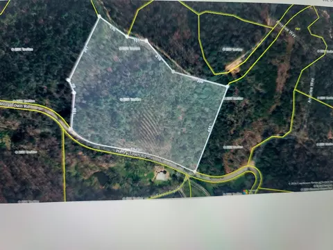0 924 Acres Henry Town Rd, Sevierville, TN 37876