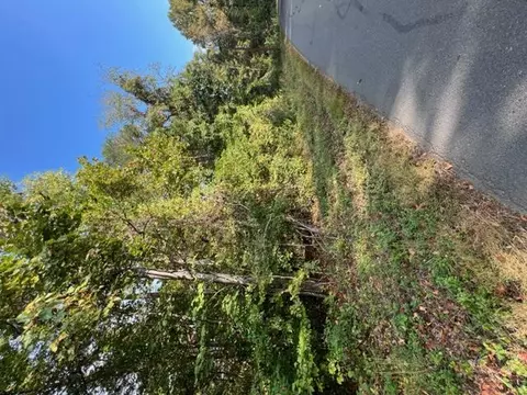 lot1015 Mountain View Ln, Baneberry, TN 37890