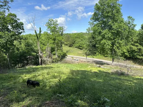 13677 Chapman Hwy, Seymour, TN 37865