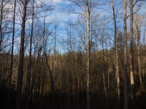 lot21 A Moody Dr, Gatlinburg, TN 37738