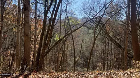 2446 Sunset Road Rd, Sevierville, TN 37862