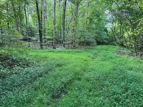 lot1205 1206 Lee Pl, Baneberry, TN 37890