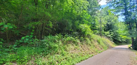 1310 Ogle Rd, Sevierville, TN 37876