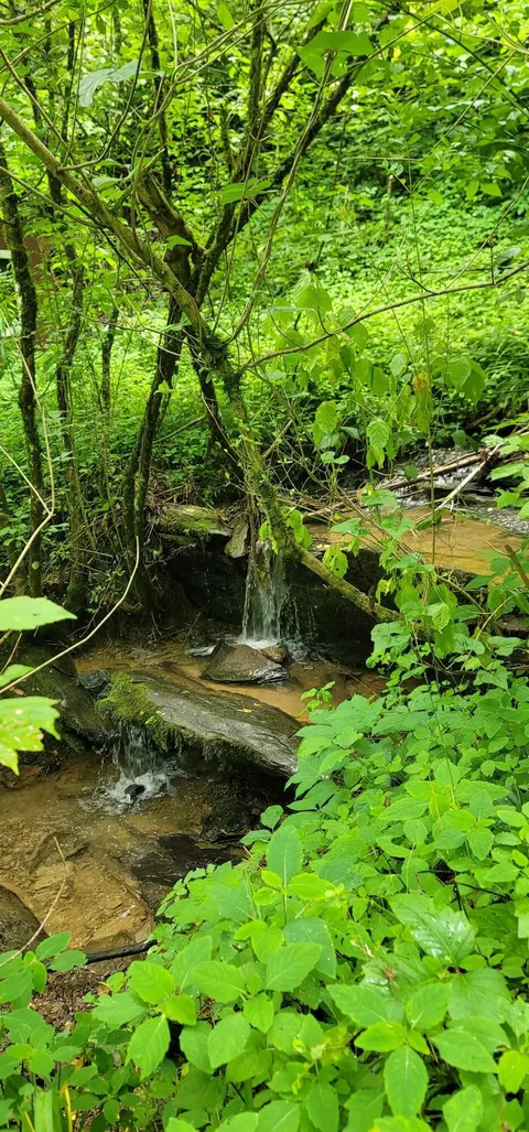 4206 Henry Town Rd, Sevierville, TN 37876