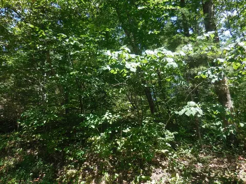 lot68 Sandy Point Ln, Sevierville, TN 37876