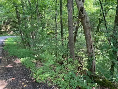 lot564 Silver Poplar Ln, Sevierville, TN 37876