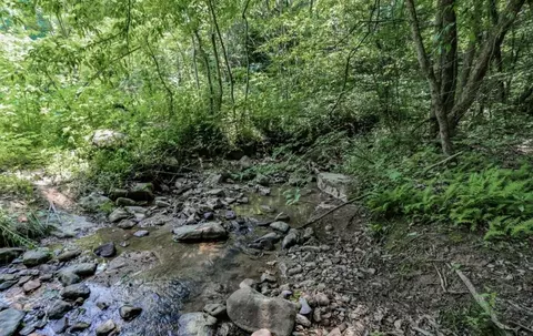 1120 Yellow Springs Rd, Cosby, TN 37722