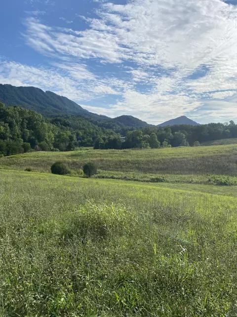 1415 1331 Sugar Loaf Rd, Sevierville, TN 37862
