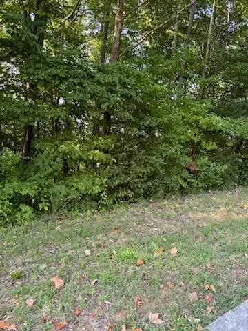 0000 Warbler Point Pt, Sevierville, TN 37876