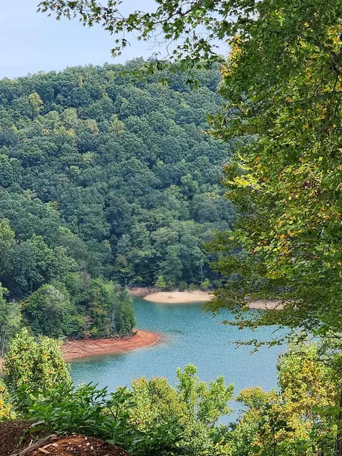 141 Suncrest Cv, La Follette, TN 37766