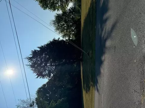 lot1004 Mountain View Ln, Baneberry, TN 37890