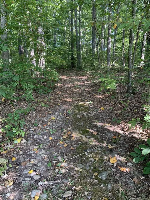 000 Glendale Rd, Bybee, TN 37713