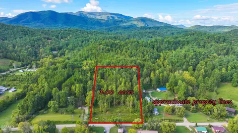 47353739 Jones Cove Rd, Cosby, TN 37722