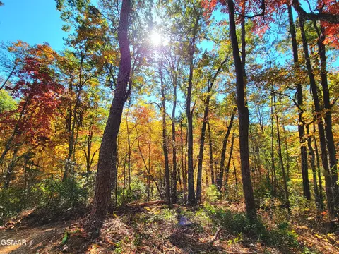 lot Apt 54 Riversong Ridge Way, Sevierville, TN 37876
