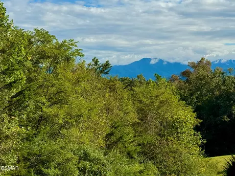 lot38 Al Hannon Rd, Newport, TN 37821