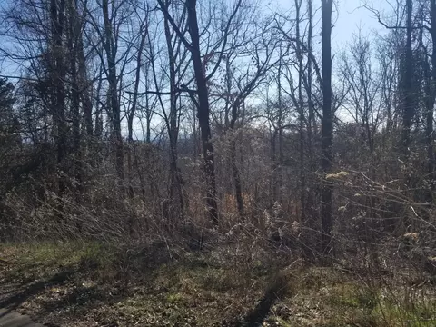 lot12 Walk In The Trees Dr, New Market, TN 37820