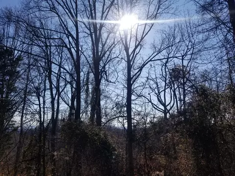 lot13 Walk In The Trees Dr, New Market, TN 37820