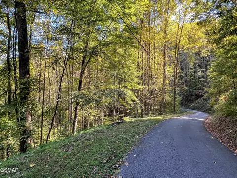 1020 Big Buck Trl, Townsend, TN 37882