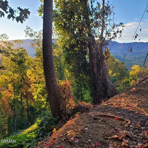 0 Scenic Trl, Gatlinburg, TN 37738