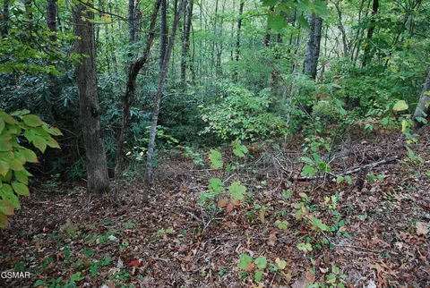 2017 Ridgecrest Loop Ln, Sevierville, TN 37876