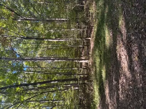 lot1210 Lee Pl, Baneberry, TN 37890