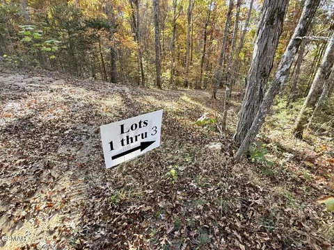 Tracts 1-3 Topaz Way, Parrottsville, TN 37843