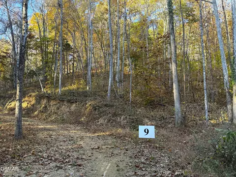 Tract 9 Topaz Way, Parrottsville, TN 37843